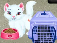Baby Taylor Pet Care