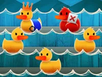 Duck Shoot