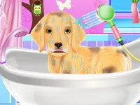 Excellent Pet Groomer