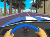 Fast Driver 3d 2