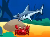 Shark Attack